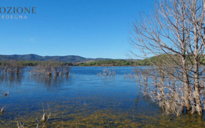 Lago di Baratz, Sardegna Nord Ovest