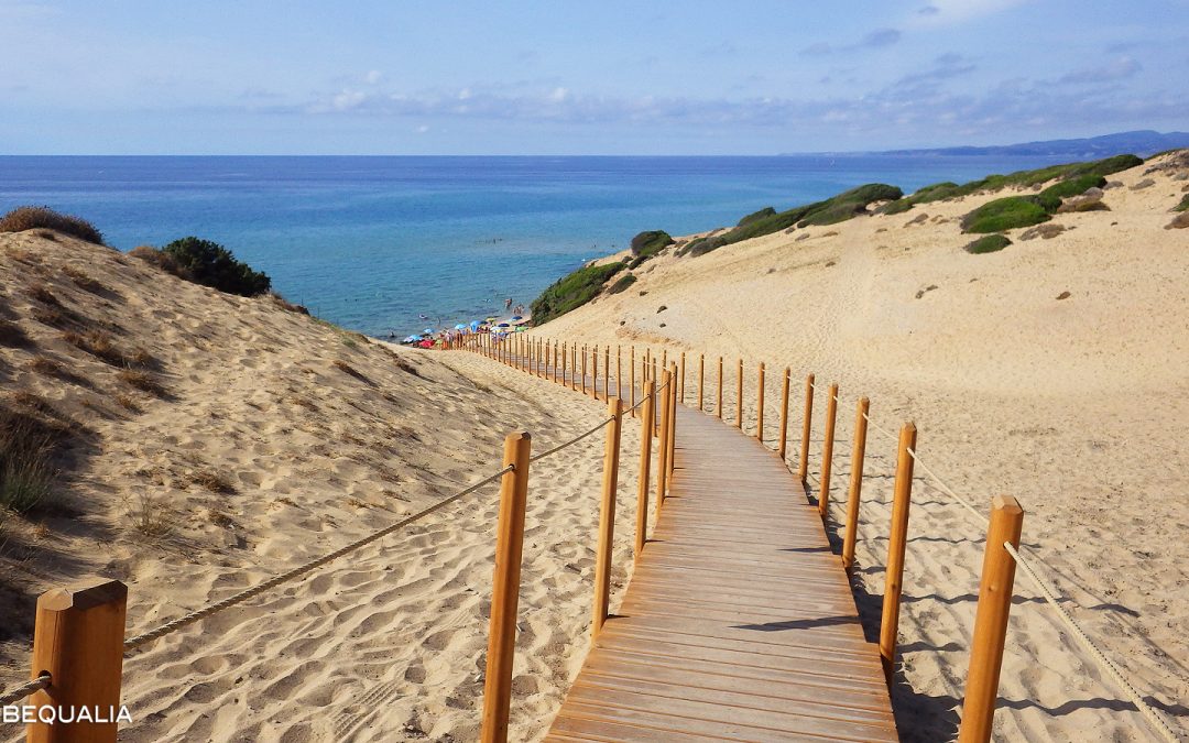 Spiaggia di Scivu, Costa verde