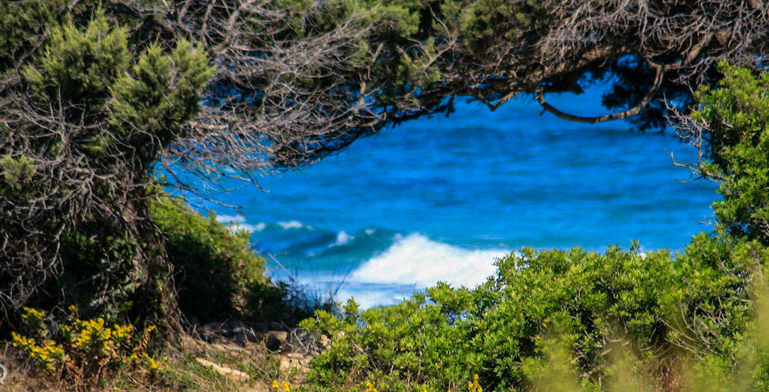 Oasi di Bidderosa, Golfo di Orosei
