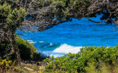 Oasi di Bidderosa, Golfo di Orosei