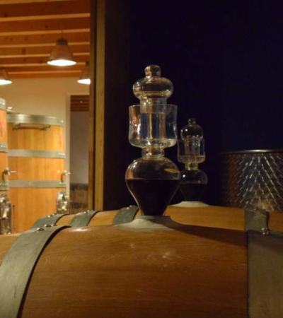 Emozione Sardegna, cantina di vino a Nuragus